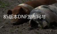 85版本DNF发布网与勇士私服（dnf85版本下载）