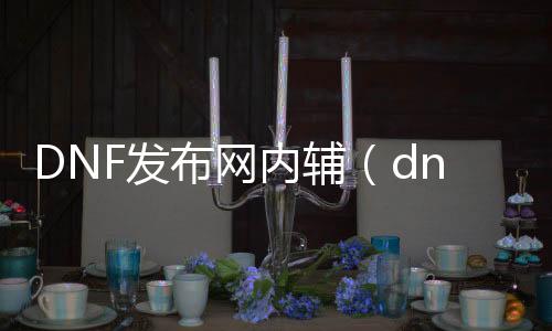 DNF发布网内辅（dnf内部辅助是真的吗）