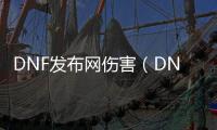 DNF发布网伤害（DNF发布网算伤害app）