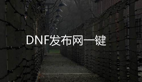 DNF发布网一键