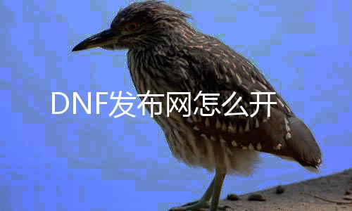 DNF发布网怎么开