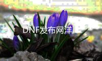 DNF发布网洋