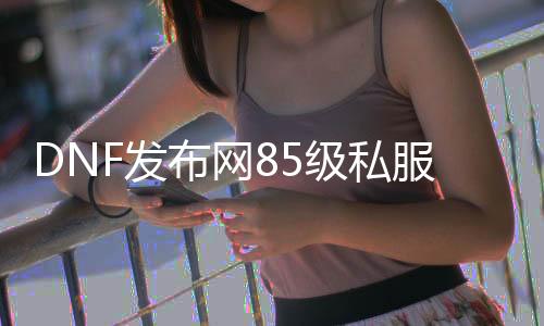 DNF发布网85级私服（DNF发布网85版本下载）