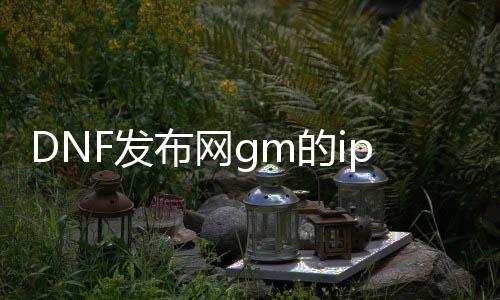 DNF发布网gm的ip