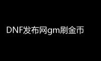 DNF发布网gm刷金币