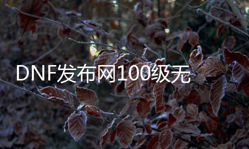 DNF发布网100级无cd（100版本DNF发布网怎么赚钱）