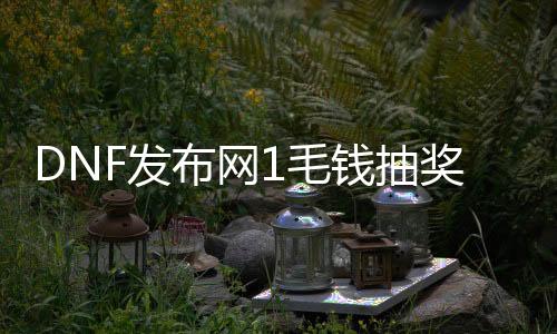 DNF发布网1毛钱抽奖（DNF发布网主播抽奖打造是真的吗）