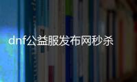 dnf公益服发布网秒杀辅助（dnf公益服发布网搬砖）