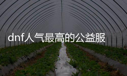 dnf人气最高的公益服发布网游戏推荐,玩家最喜欢的dnf公益服发布网游戏推荐