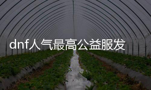 dnf人气最高公益服发布网推荐,最火的dnf公益服发布网排行榜