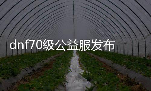 dnf70级公益服发布网游戏发展史详解,70级公益服发布网游戏玩法攻略