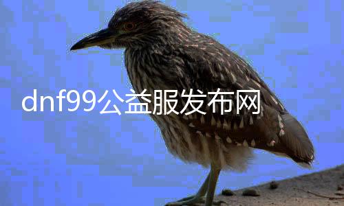 dnf99公益服发布网怎么玩，dnf99公益服发布网的玩法攻略