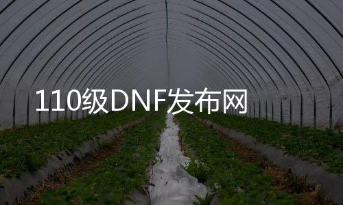 110级DNF发布网